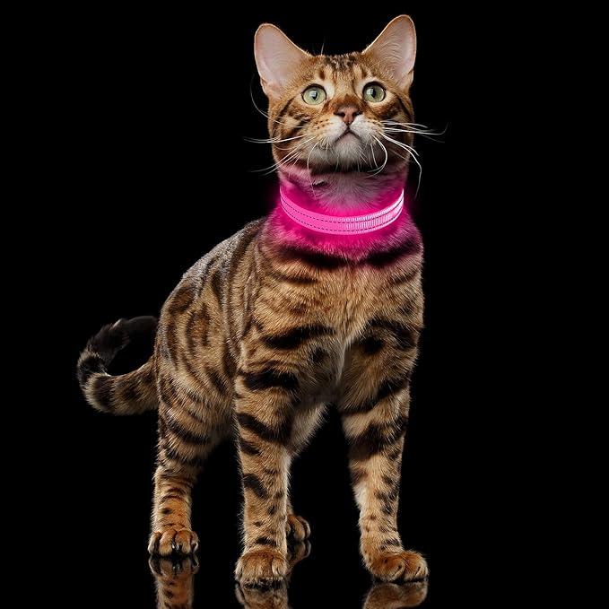 Illumifun LED Dog Collar USB Rechargeable Light Up Dog Collar, Adjustable Safety Collar Light for Small Dogs Cats Glow in The Dark (Pink, X-Small)