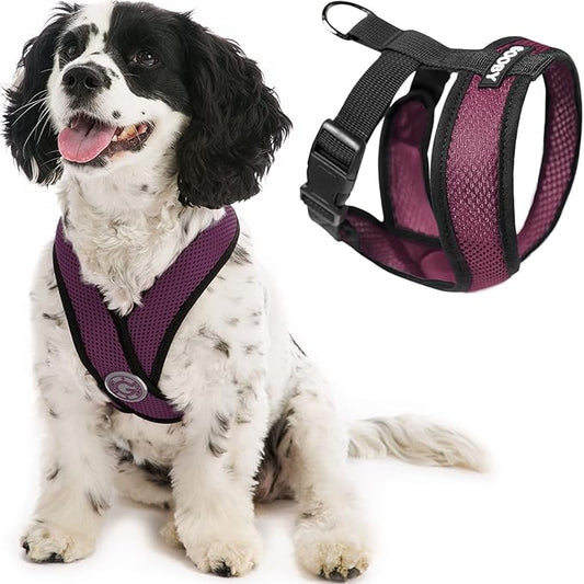 Gooby Comfort X Head In Harness - Purple, Small - Patented Choke-Free X Frame - Perfect On-The-Go Dog Harness for Medium & Small Dogs, Indoor & Outdoor Use