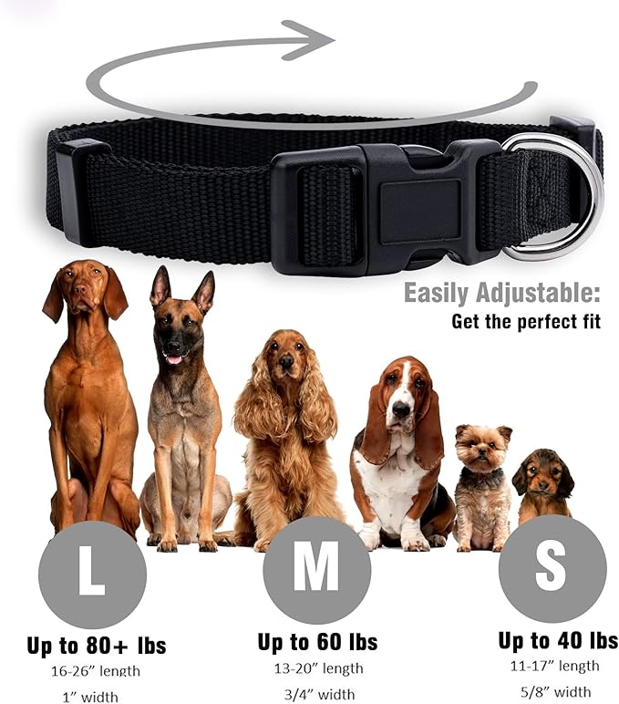 Native Pup Basic Nylon Dog Collar, Adjustable for Small, Medium, Large pet and Puppies Accessories, Cute Colors for Male, Female, boy, Girl, Puppy (Small, Black)