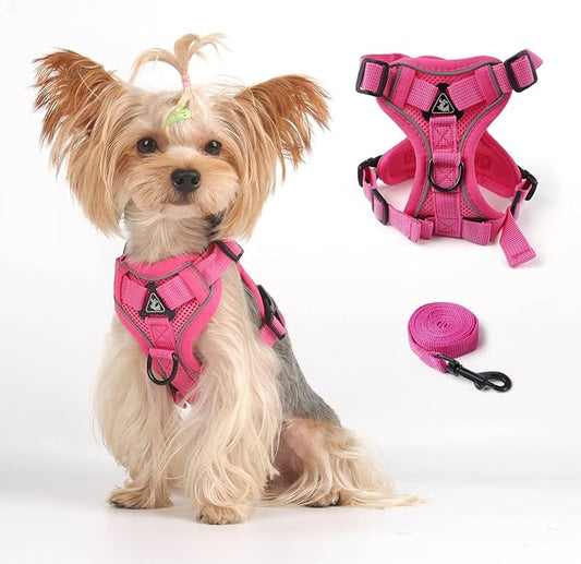 Vest Harness Leash Set for Small Dog Large Cat Outdoor Walking, Upgraded Escape Proof Adjustable Jacket with Lead for Puppy Fat Cat, Soft Breathable Mesh Coat with Reflective Strip, XL Pink