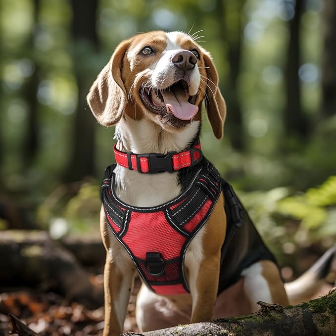 Joytale Reflective Dog Collar,Soft Neoprene Padded Breathable Nylon Pet Collar Adjustable for Extra Large Dogs,Red,XL