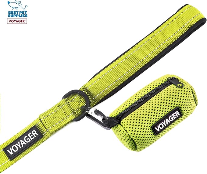 Voyager Step-in Air All Weather Mesh Harness and Reflective Dog 5 ft Leash Combo with Neoprene Handle, for Small, Medium and Large Breed Puppies by Best Pet Supplies - Green, Large