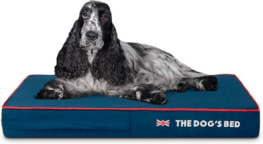 The Dog’s Bed Orthopedic Memory Foam Dog Bed, Medium Blue Oxford with Red Trim UK Flag 34x22, Pain Relief for Arthritis, Hip & Elbow Dysplasia, Post Surgery, Supportive, Calming, Waterproof Washable