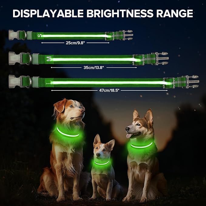 Led Dog Collar for Night Walking,Rechargeable Light Up Dog Collar Led Color,Glow in The Dark Dog Collars Waterproof for Small Medium Large Dogs (Green, Medium)