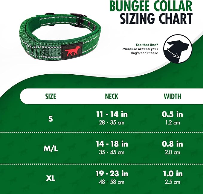 Heavy Duty Dog Collar With Handle | Ballistic Nylon Heavy Duty Collar | Padded Reflective Dog Collar With Adjustable Stainless Steel Hardware | Convenient Sizing for All Breeds