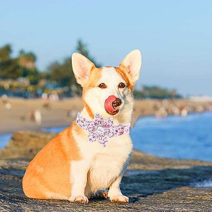 Lionheart Glory Shark Print Pink Collar - Adjustable Soft Dog Collar for Medium Dogs