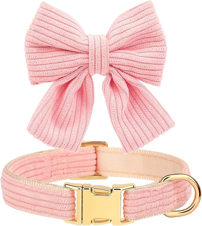 Didog Dog Collar and Leash Set with Bowtie, Girl Dog Collars Metal Buckle Adjustable for Small Medium Dogs(Pink, S)