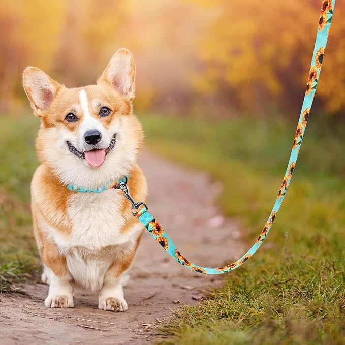 Cute Dog Collar and Leash Set 6 ft/Foot Dog Leash and Collar Adjustable Dog Harness and Leash Set Puppy Collars with Beautiful Floral Bow Tie for Small Medium Large Female Male Dogs,Sunflower-Teal