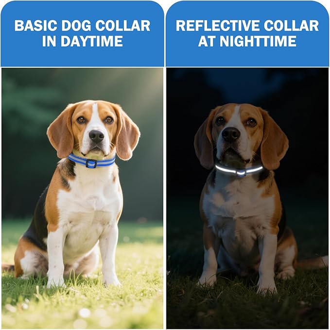 Waterproof Dog Collar, Soft Rubber with Safety Buckle - Adjustable Dog Collars for Large Small Medium Dogs Puppy, Heavy Duty Odor-Resistant Reflective Pet Collar, Blue M