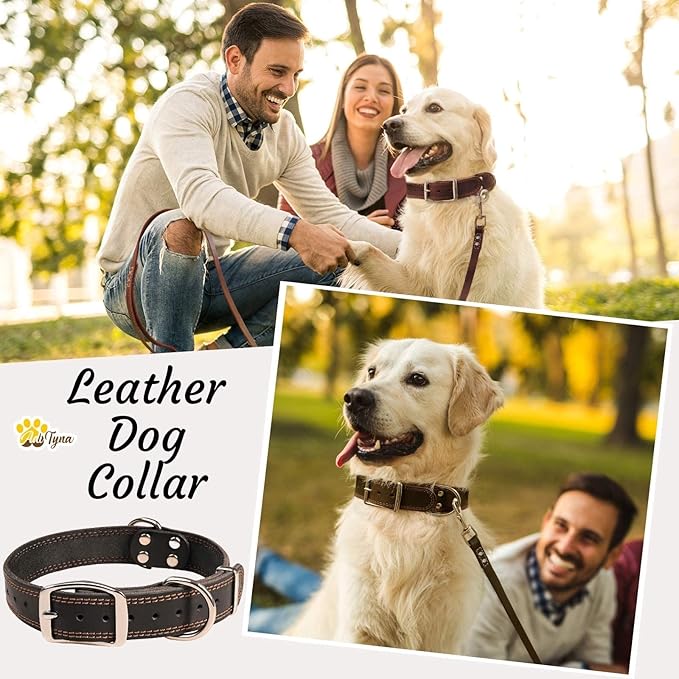 ADITYNA Heavy Duty Leather Dog Collar for Large Dogs - Soft and Strong Black Leather Collar for Walking and Training (Large: Fit 17" - 23" Neck, Black)