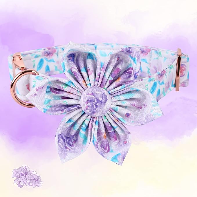 Lionheart Glory Dog Collar - Purple With Flower, Cute Floral Pattern, Adjustable for X-Large Dogs