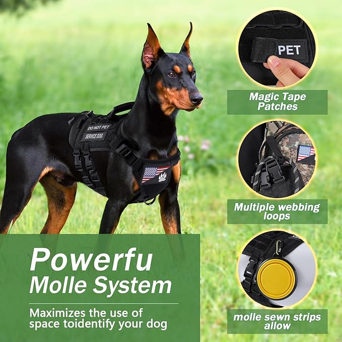 No Pull Tactical Dog Harness for Small Dogs, Escape Proof Molle Dog Vest Harness and Leash Set, Adjustable Military Service Dog Harness with Handle for Medium Large Dogs(Black, M)