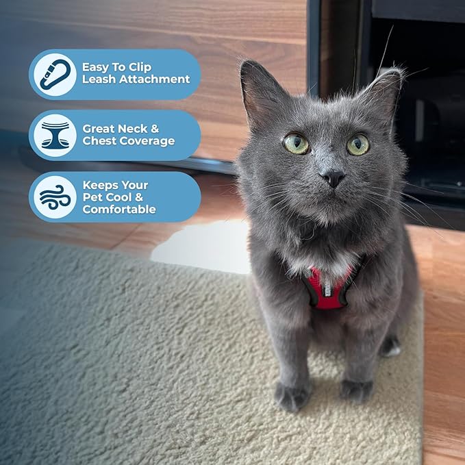Voyager Step-in Lock Adjustable Cat Harness w. Cat Leash Combo Set with Neoprene Handle 5ft - Supports Small, Medium and Large Breed Cats by Best Pet Supplies - Red/Black Trim, S