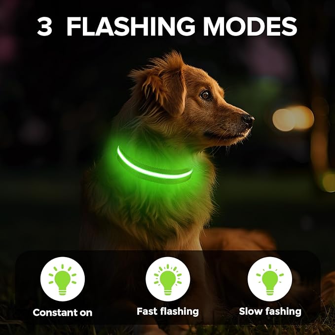 Led Dog Collar for Night Walking,Rechargeable Light Up Dog Collar Led Color,Glow in The Dark Dog Collars Waterproof for Small Medium Large Dogs (Green, Medium)