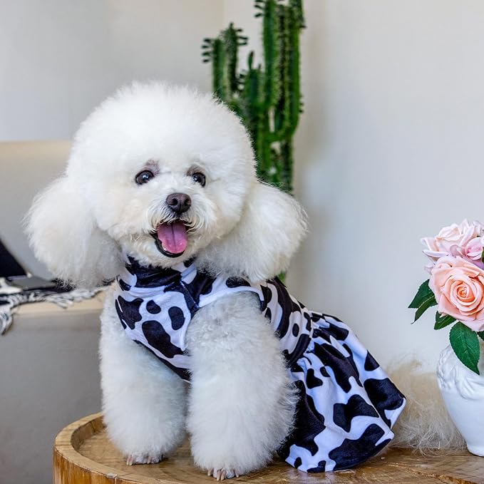 CuteBone Turtleneck Dog Velvet Dress Puppy Skirt Costume Pet Clothes Cat Apparel with Bow Hair Rope for Small Dogs CVD07XS