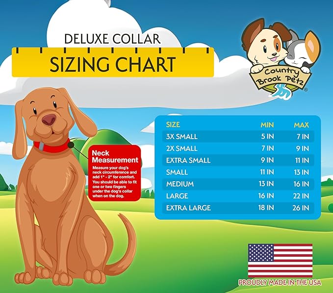 Country Brook Petz - American-Made Dog Collar for Large, Medium, and Small Dogs and Puppies - Deluxe Heavy Duty Nylon in 33 Dazzling Colors (Large, 1 Inch Wide, Bright Purple)