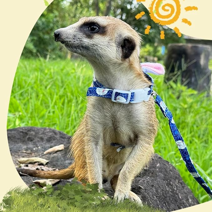 Ferret Harness and Leash Set with Bell - Small Animal Accessories - Bunny Ears Costume for Baby Rabbit, Guinea Pig and Small Pets - Blue