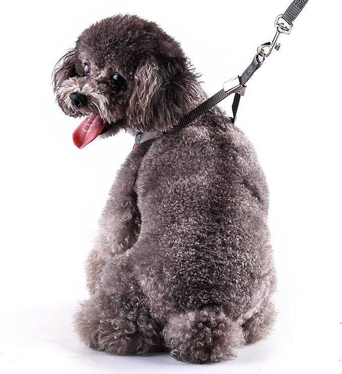 Rypet Small Dog Harness and Leash Set - No Pull Pet Harness with Soft Mesh Nylon Vest for Small Dogs and Cats Red S