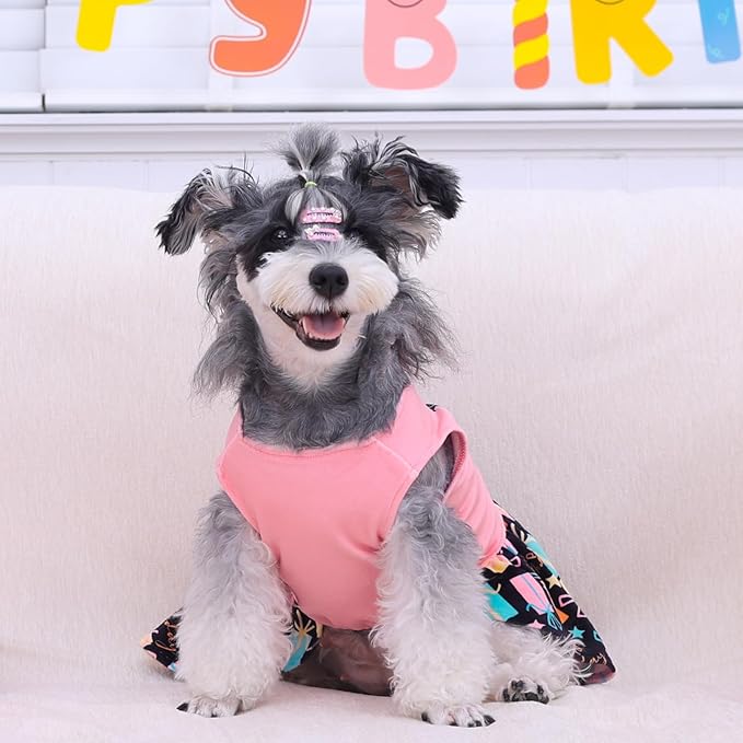 CuteBone Birthday Dog Dresses Velvet Holiday Small Dogs Clothes Onesie Pet Apparel Girl Puppy Skirt with Bow Hair Rope CVA48L-D