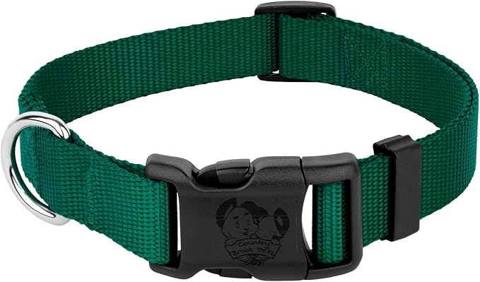 Country Brook Petz - American-Made Dog Collar for Large, Medium, and Small Dogs and Puppies - Deluxe Heavy Duty Nylon in 33 Dazzling Colors (2XS, 3/8 Inch Wide, Green)