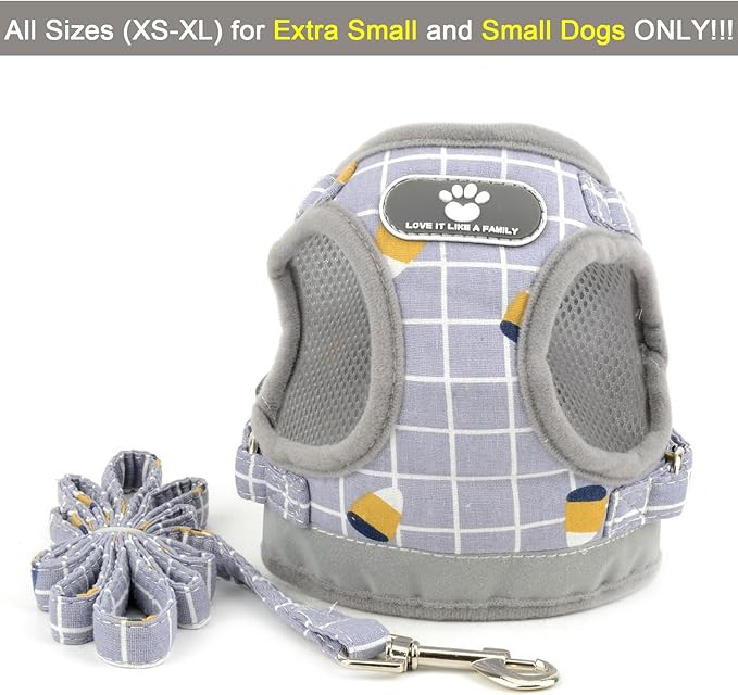 Zunea No Pull Small Dog Harness and Leash Set Adjustable Reflective Step-in Chihuahua Vest Harnesses Mesh Padded Plaid Escape Proof Walking Puppy Jacket for Boy Girl Pet Dogs Cats Gray M