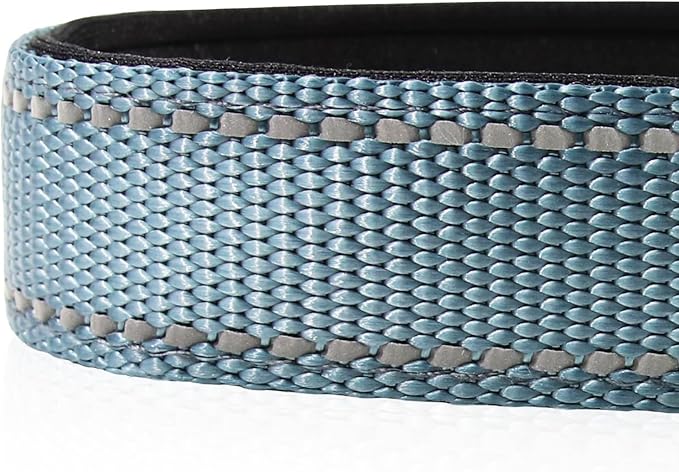 Joytale Reflective Dog Collar,Soft Neoprene Padded Breathable Nylon Pet Collar Adjustable for Large Dogs,Gray,L