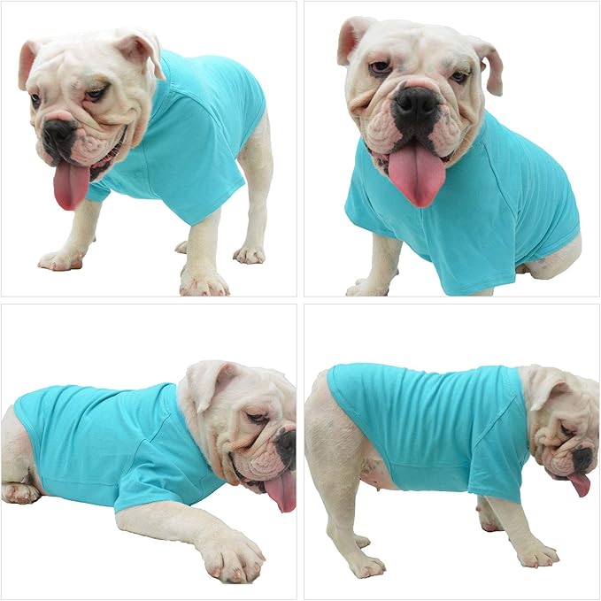 Lovelonglong Pet Clothing Dog Costumes Basic Blank T-Shirt Tee Shirts for Small Dogs Turquoise M
