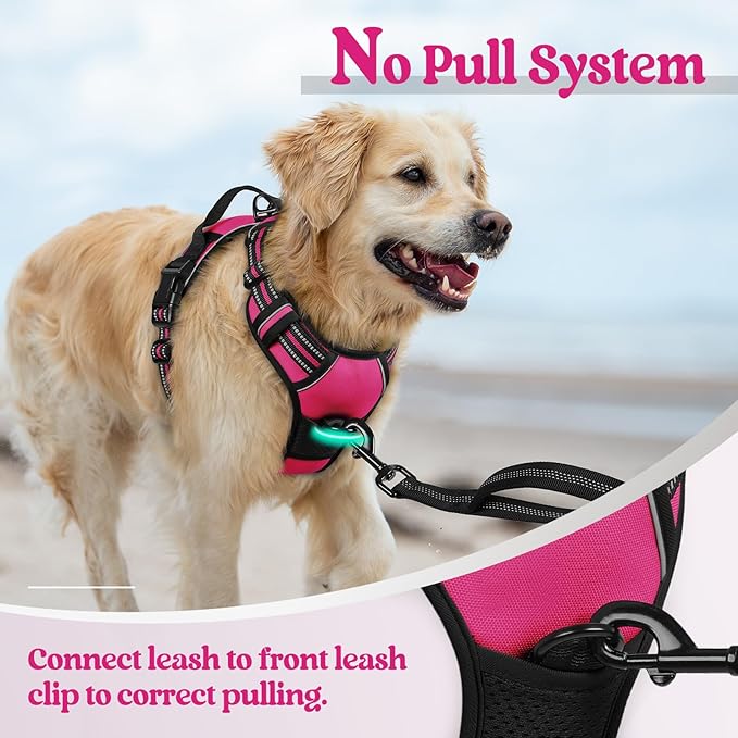 rabbitgoo Dog Harness No Pull with 2 Leash Clips, Adjustable Soft Padded, Reflective Oxford No Choke Pet Vest with Easy Control Handle for Large Dogs, Hot Pink, L