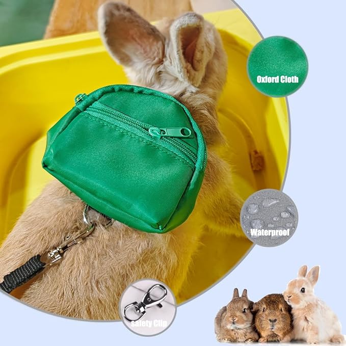 Portable Guinea Pig Backpack with Small Bag Harness and Leash Set, Space Capsule Bubble Pet Carrier Cage Travel for Rabbit, Bearded Dragon, Sugar Glider (Green, Backpack+Bag)
