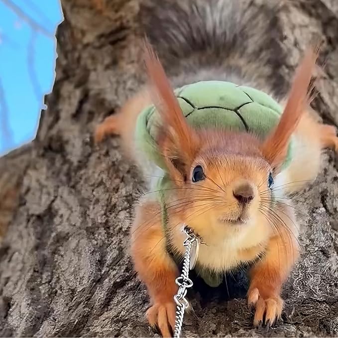 Pet Squirrel Harness and Leash Set Adorable Cloth Vest with Adjustable Leash for Ferret, Squirrel, Dwarf Chinchilla, Guinea Pig, Fancy Rat (Green)