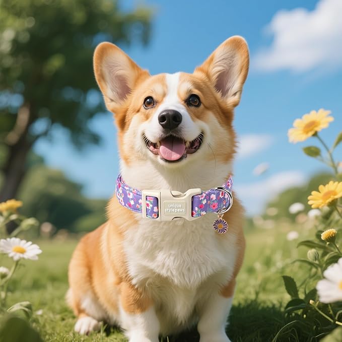 Unique style paws Dog Collar Plastic Buckle with Pendant Blue Colorful Flowers Puppy Collars for Small Medium Large Boys Girls Dogs