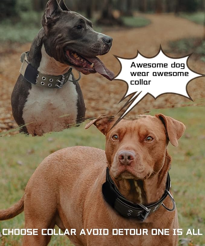 Large Dog Collar Heavy Duty- 2 inches Wide Tactical Dog Collar with Handle for Gaint Dogs, Extra Strong Nylon with Stainless Hardware, Military Green 22"-27"