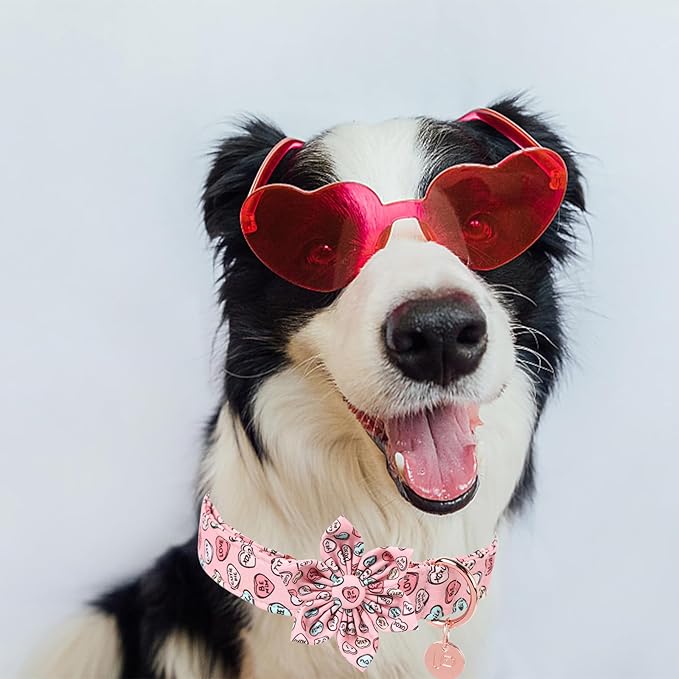 Valentine Dog Collar with Flower, Heart Flower Collar for Puppy Girl Boy Dog or Cat, Comfortable Dog Collar Flower with Durable Metal Buckle, Cute Pet Collar, XS