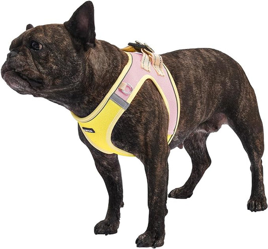 AMTOR Small Dog Harness with Leash Set, No Escape Easy Walk Puppy Harnesses for Training Walking, Step-in Reflective Soft Dogs Vest for XS S Medium Extra-Small Large Sized Dog(Yellow)