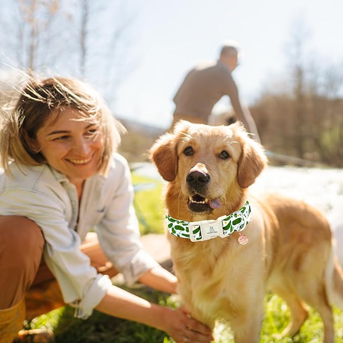 Lionheart glory Dog Collar Green Spring Summer Collar for Large Dogs,Adjustable Duty Heavey Pet Collars Cute Puppy Collars