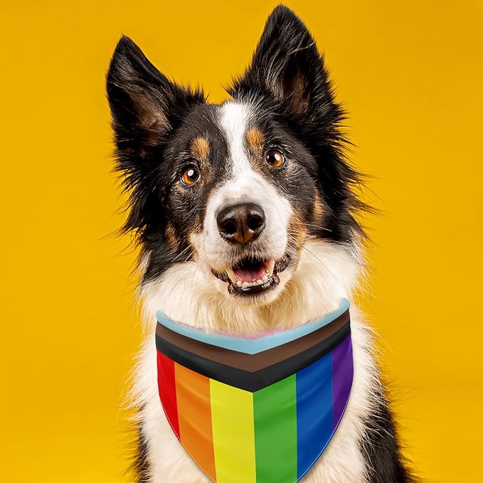 Whaline Rainbow Dog Bandanas Love is Love Pride Triangle Bibs Rainbow Dog Scarf Reversible Double-Sided Pet Neckerchief for Small Medium Large Pet Cat Dog Pride Day Costume Accessories, 4 Pack