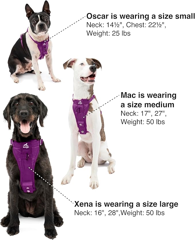 Kurgo Enhanced Strength Tru-Fit Smart Dog Harness, Deep Violet, Small - Crash Tested Car Safety Harness for Dogs, No Pull Dog Harness, Includes Pet Safety Seat Belt Tether, Steel Nesting Buckles