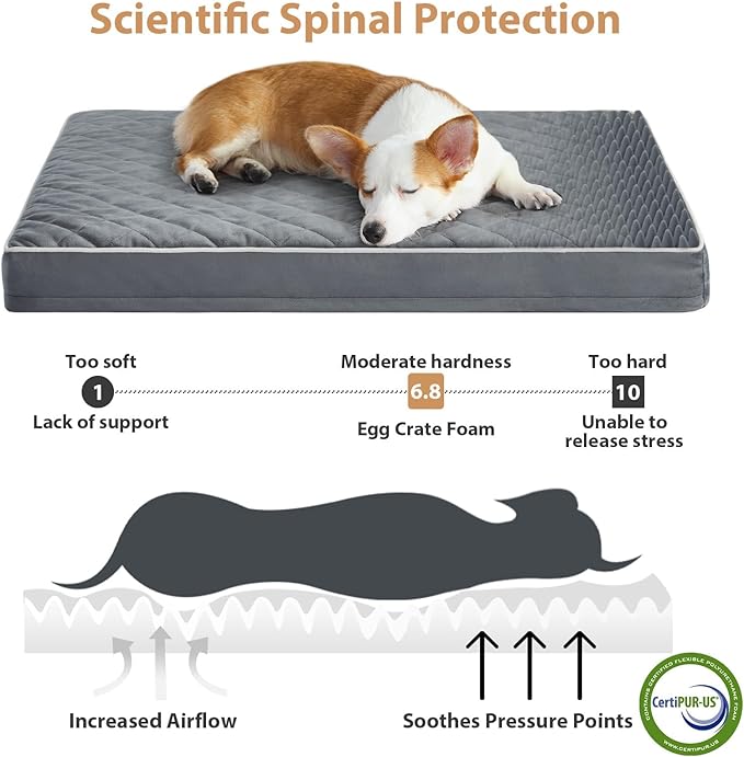 WNPETHOME Orthopedic Dog Beds for Large Dogs, Extra Large Waterproof Dog Bed with Removable Washable Cover & Anti-Slip Bottom, Egg Crate Foam Pet Bed Mat