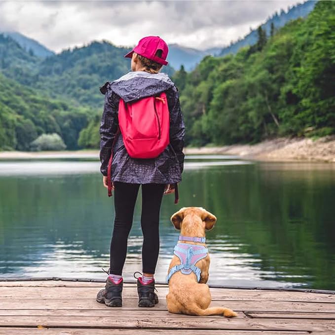 No Pull Dog Harness Adjustable Soft Padded Pet Vest with Control Handle Adorable Daily Harness for Dogs(Sweet Lilac S)