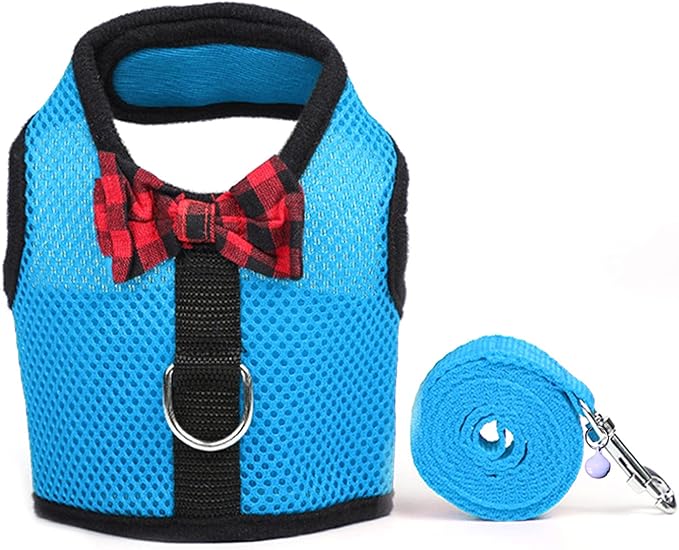 Rypet Guinea Pig Harness and Leash - Soft Mesh Small Animal Harness with Safe Bell, No Pull Comfort Padded Vest for Guinea Pigs, Ferret, Chinchilla and Similar Small Animals