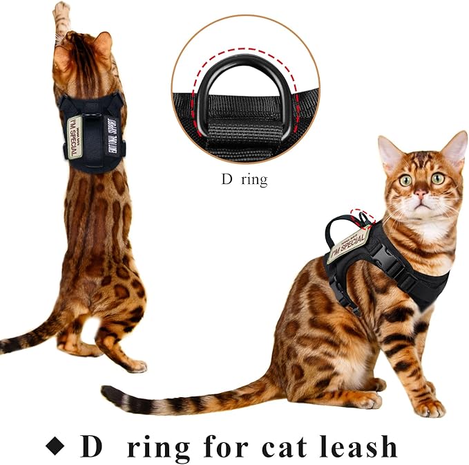 Tactical Cat Harness for Walking Escape Proof, Soft Mesh Adjustable Pet Vest Harness for Large Cat,Small Dog (Medium, Black)