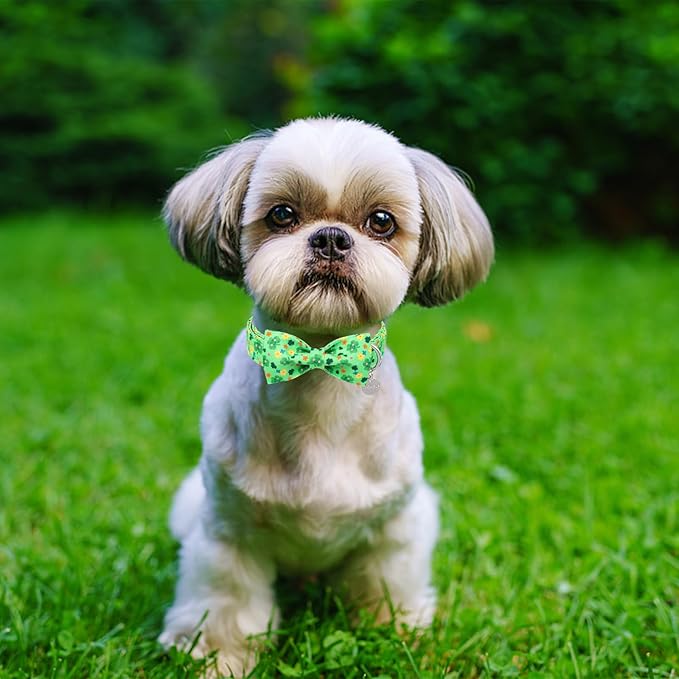 St. Patrick's Dog Collar with Bow Tie, Cotton St. Patrick's Bowtie Collar for Girl Boy Dog, Lucky Shamrock Dog Collar with Metal Buckle, Green, Spring, S