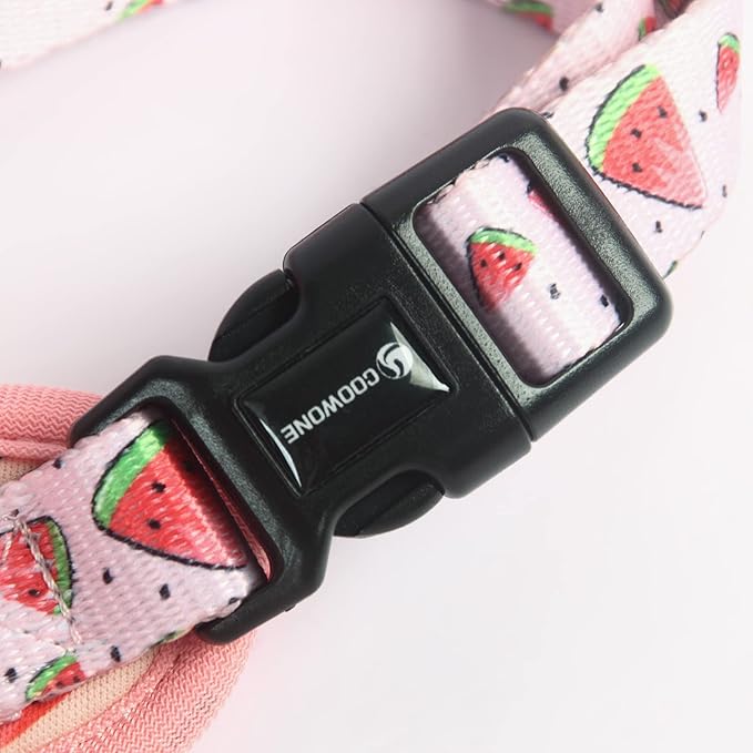 Dog Harness and Leash Set, Adjustable Dog Harness, Dog Leash, No Pull No Choke Puppy Harnesses for Walking Training for Small, Medium, Large Pet