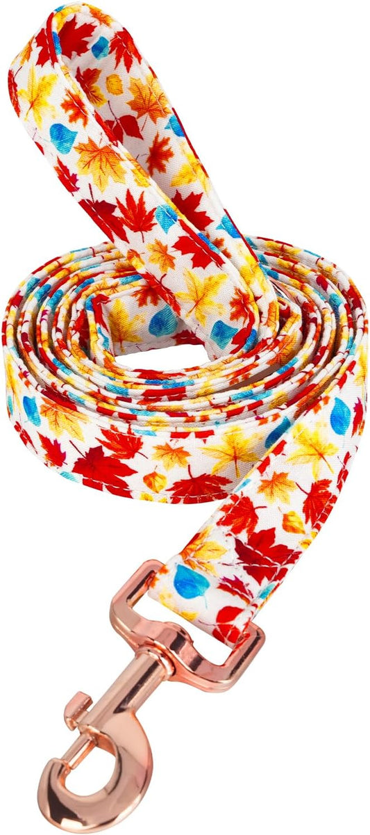Tunkoo Autumn Charm Dog Leash with Metal Buckle - Durable, Stylish, and Perfectly Sized for Fall Season Daily Walking M