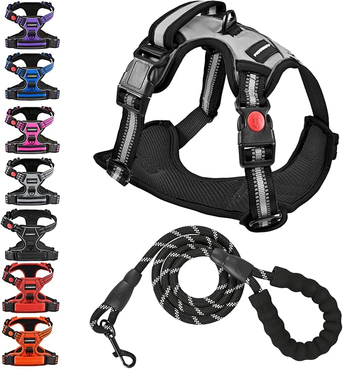 No Pull Dog Harness with A Free Heavy Duty 5ft Dog Leash, Adjustable Soft Padded Dog Vest, Reflective No-Choke Pet Oxford Vest with Easy Control Handle and Dog Leash for Dogs (Grey, Small)