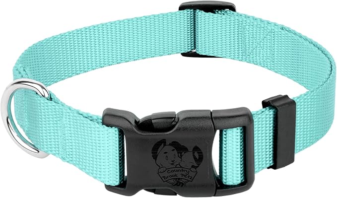 Country Brook Petz - American-Made Dog Collar for Large, Medium, and Small Dogs and Puppies - Deluxe Heavy Duty Nylon in 33 Dazzling Colors (Medium, 3/4 Inch Wide, Light Cyan)