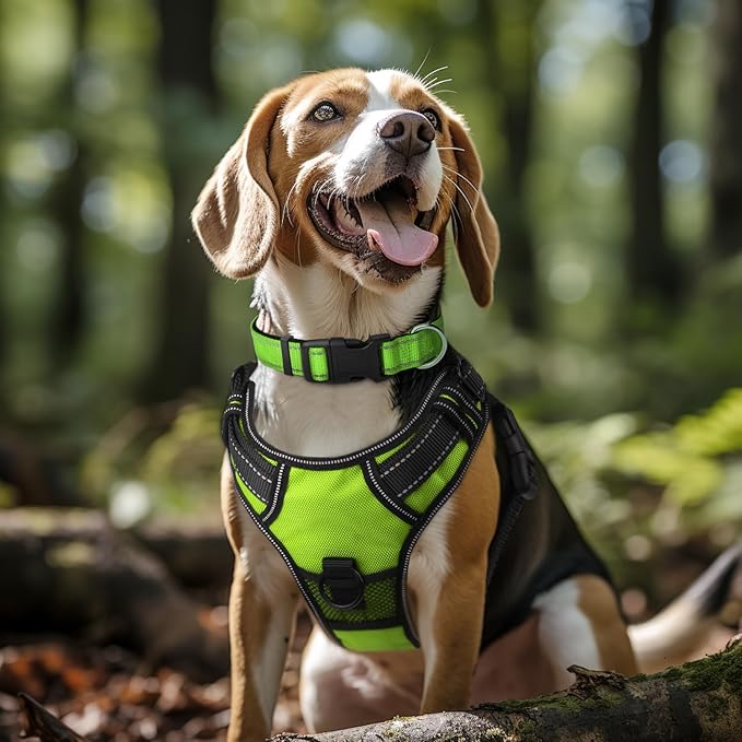 Joytale Reflective Dog Collar,Soft Neoprene Padded Breathable Nylon Pet Collar Adjustable for Large Dogs,Green,L