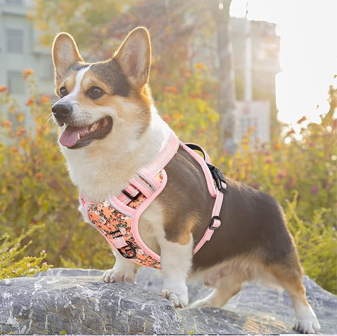 Timos No Pull Dog Harness,NO Need Go Over Dogs Head 3 Snap Buckles Reflective Oxford No Choke Puppy Harness with Front & Back 2 Metal Leash Clips Soft Padded for Small Medium Large Dogs