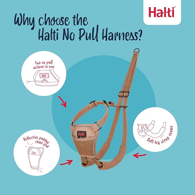 HALTI No Pull Harness - to Stop Your Dog Pulling on The Leash. Adjustable, Lightweight and Easy to Use. Reflective Dog Training Harness for Toy and Small Dogs (Size XS, Desert Sand)
