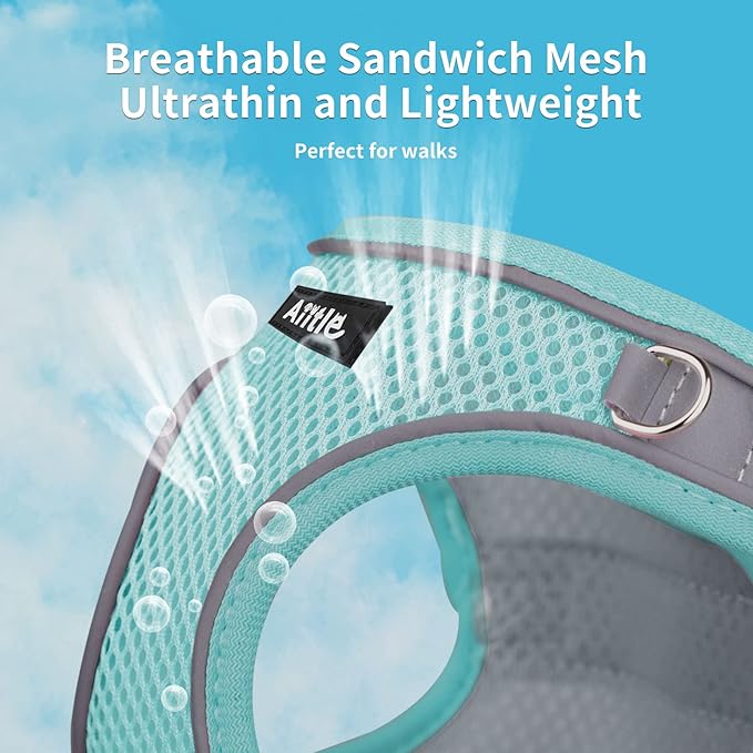 AIITLE No Pull Dog Harness and Leash Set, Step in Adjustable Dog Harness with Padded Vest for All Weather, Dog Leash with Soft Padded Handle, Easy to Put on Small and Medium Dogs Turquoise S